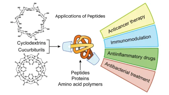 Applications of Peptides