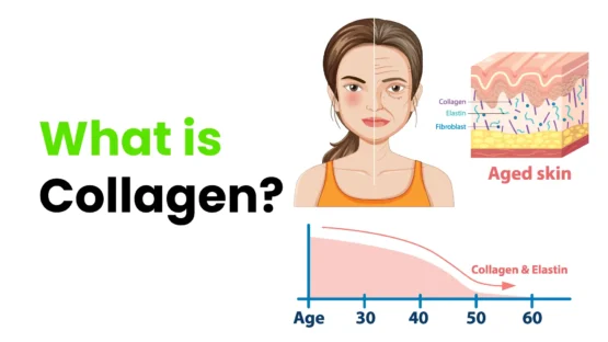 What is Collagen