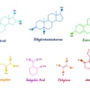 The Science Behind Amino Acids, Structure, and Synthesis
