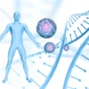 Exploring Growth Hormone Peptides and Research Labs: What to Know Before You Order Peptides Online