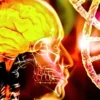 Are Peptides Legal in the EU and UK?