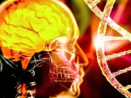Are Peptides Legal in the EU and UK?