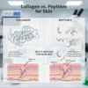 Why Comparing Collagen vs Peptides Matters for Skin?